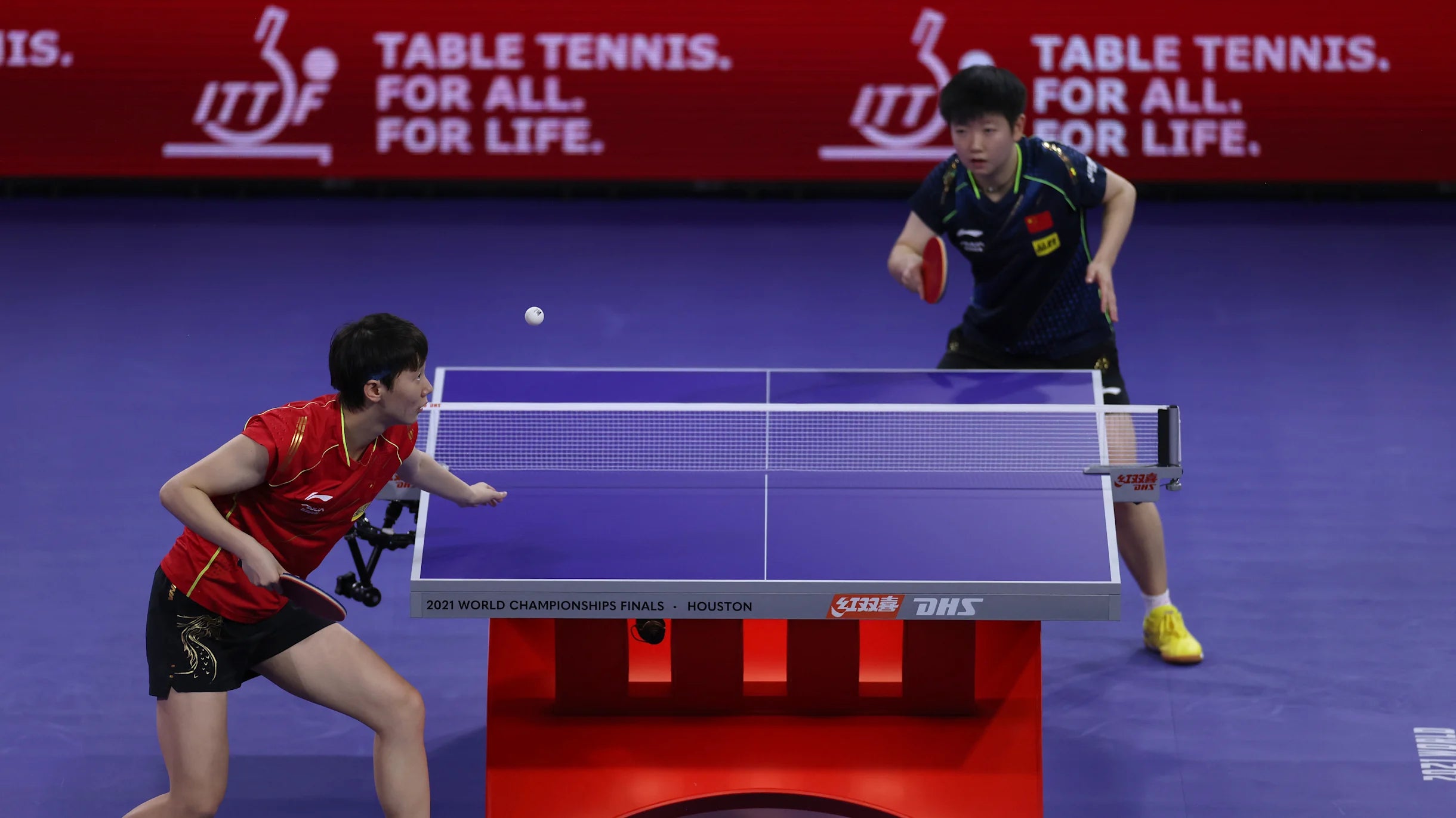 Spin and Speed: Navigating the World of Table Tennis