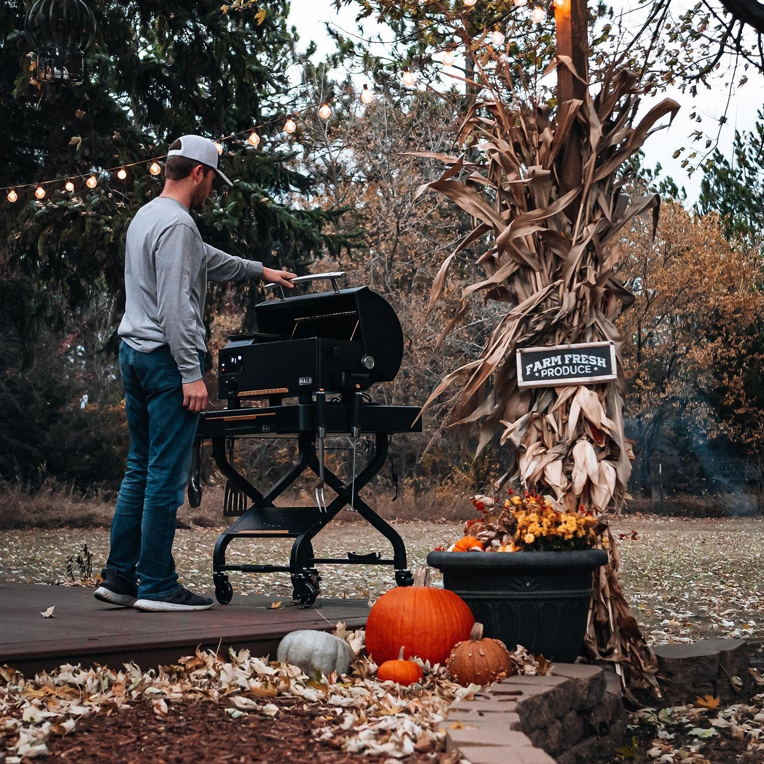 HALO Prime 300 Countertop Pellet Grill