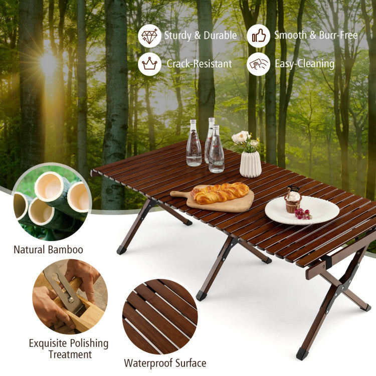 Folding Picnic Table with Carry Bag for Camping, BBQ and Patio
