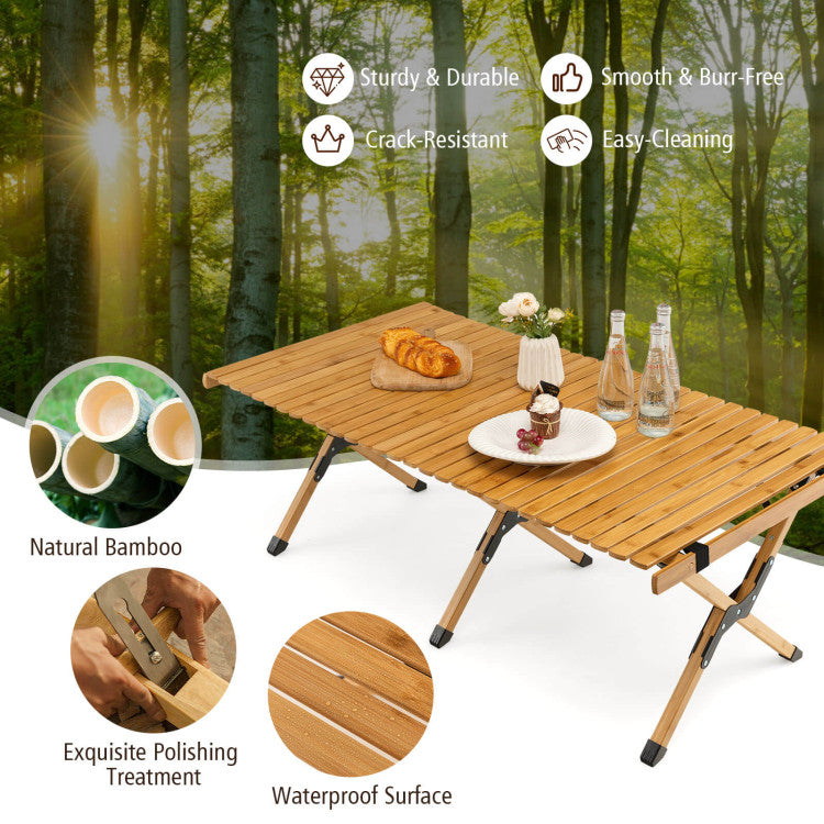 Folding Picnic Table with Carry Bag for Camping, BBQ and Patio