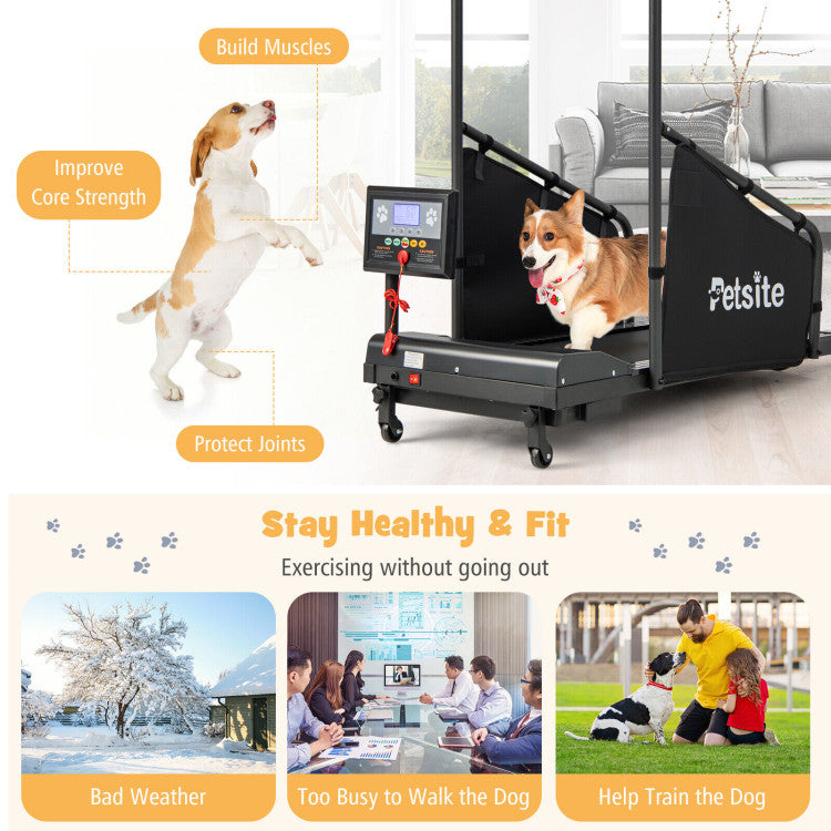 Indoor Pet Exercise Equipment with Remote Control and 3 Adjustable Base Heights