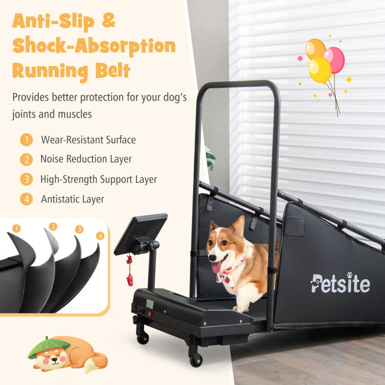 Indoor Pet Exercise Equipment with Remote Control and 3 Adjustable Base Heights