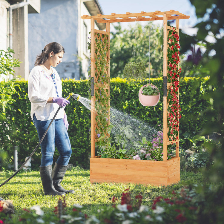 Raised Garden Bed with Arch Trellis for Indoor and Outdoor