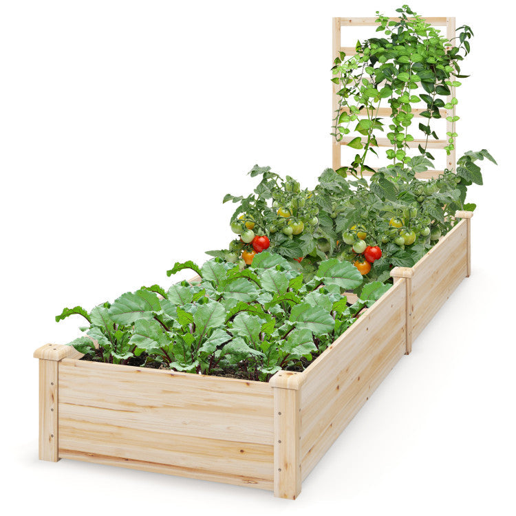 Raised Garden Bed with Planter Box and Trellis for Outdoor Patio