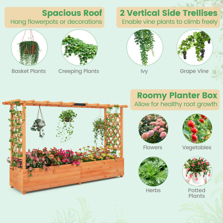 Raised Garden Bed with Side Trellis Hanging Roof and Planter Box