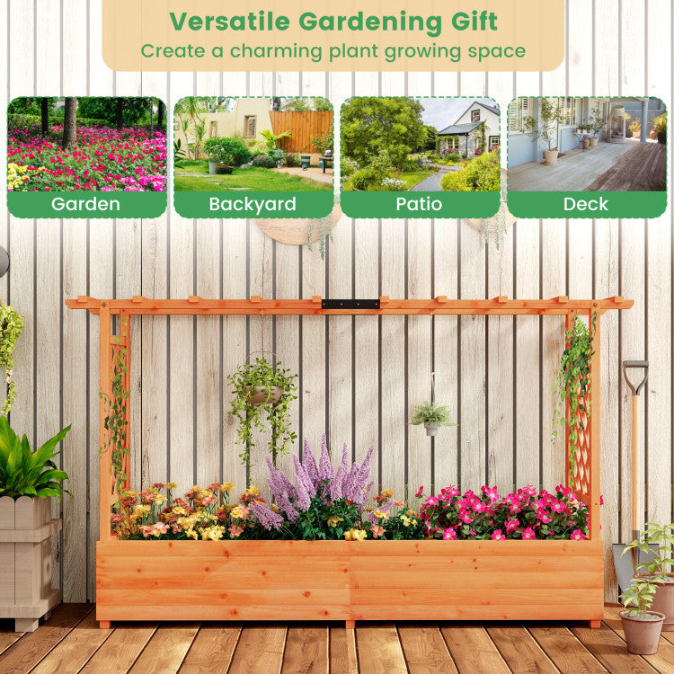 Raised Garden Bed with Side Trellis Hanging Roof and Planter Box