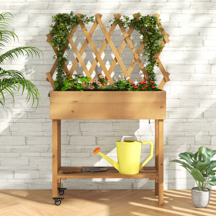 Wooden Raised Garden Bed Mobile Elevated Planter Box with Trellis