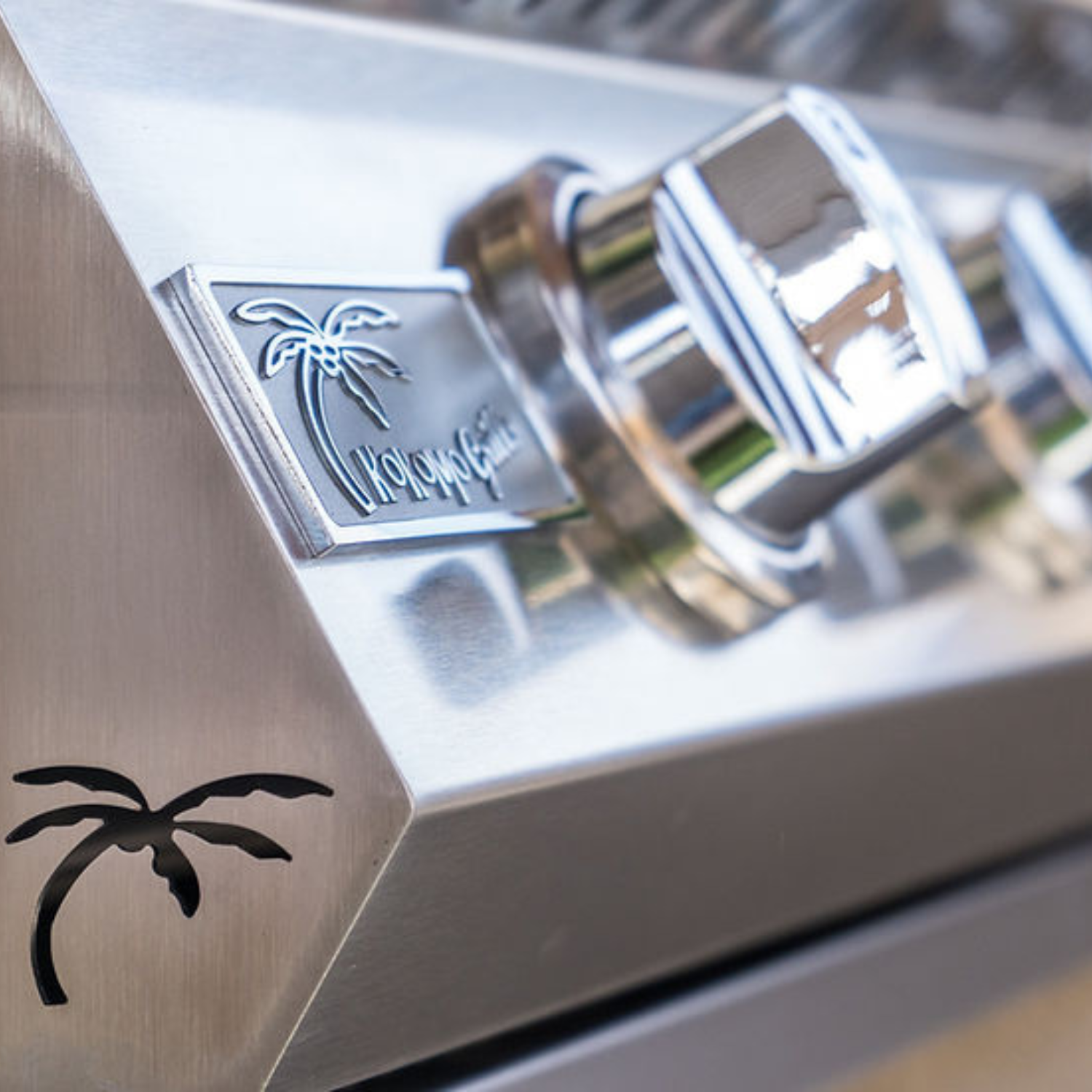 Built In Double Side Burner Stainless Steel with removable cover - ElitePlayPro